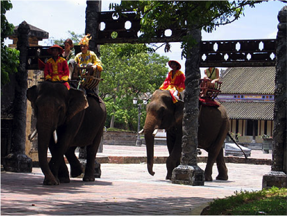 Ballades à dos d'elephant au Vietnam