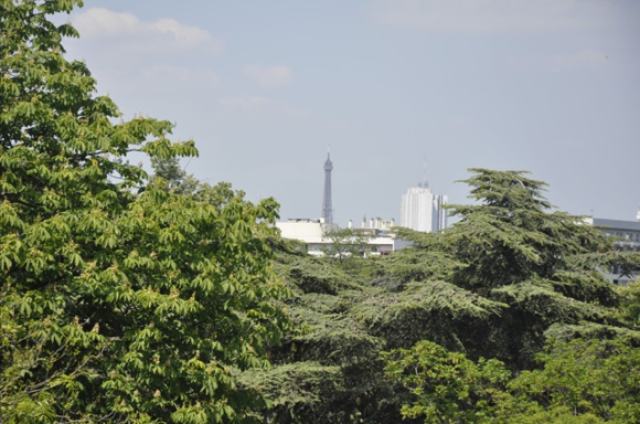 paris-homeexchange-amanda