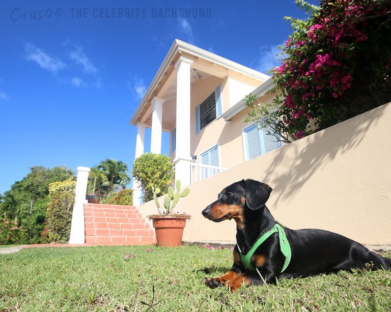 crusoe at the great house st lucia home exchange