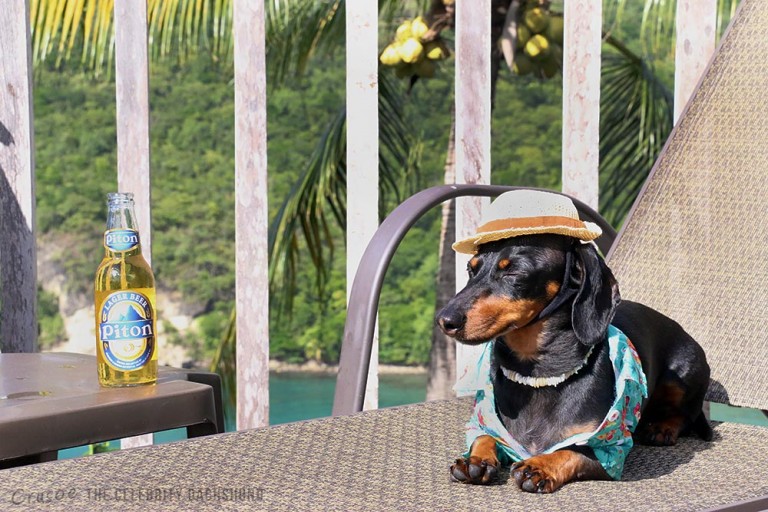 life-is-ruff-in-st-lucia-home-exchange