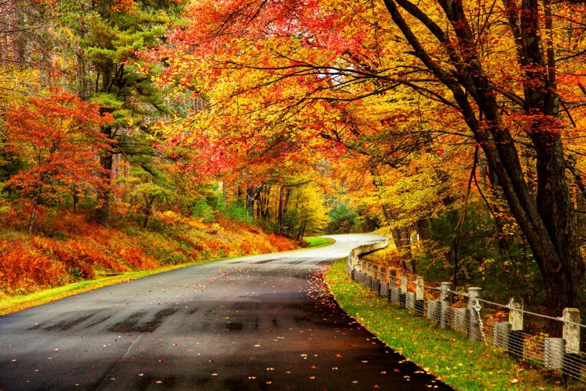 Weekend Foliage Trips in North America