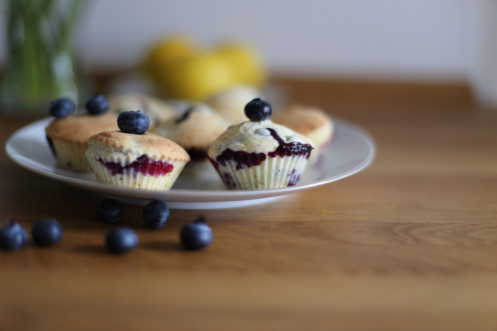 blueberries-blueberry-muffins-blur-556829