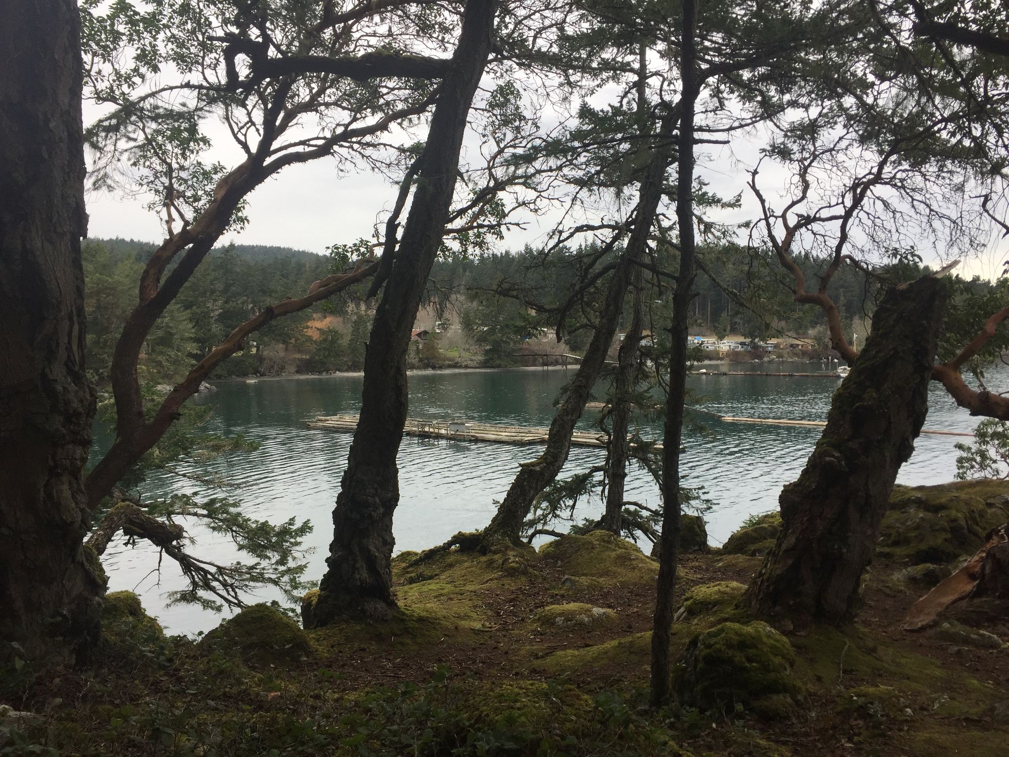 My HomeExchange Story Mill Bay, Canada