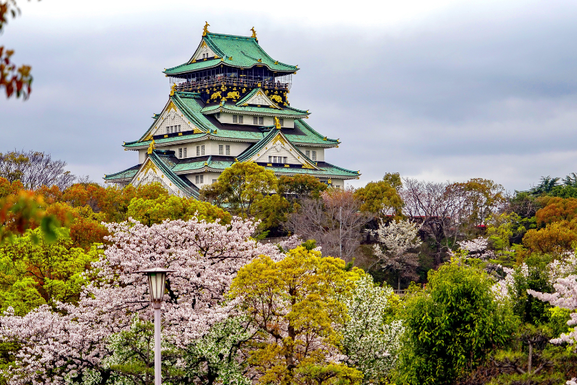 where to travel in the world with a baby japan