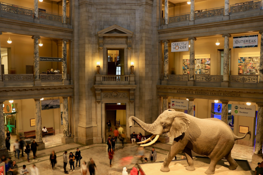 most visited tourist attraction world national natural history museum