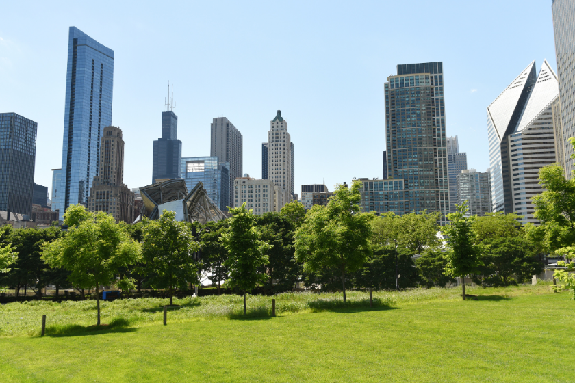 grant park free family things to do in chicago