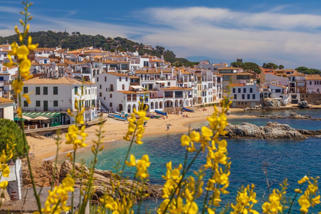 Whitewashed houses and beaches in Parafrugell with yellow flowers in the foreground