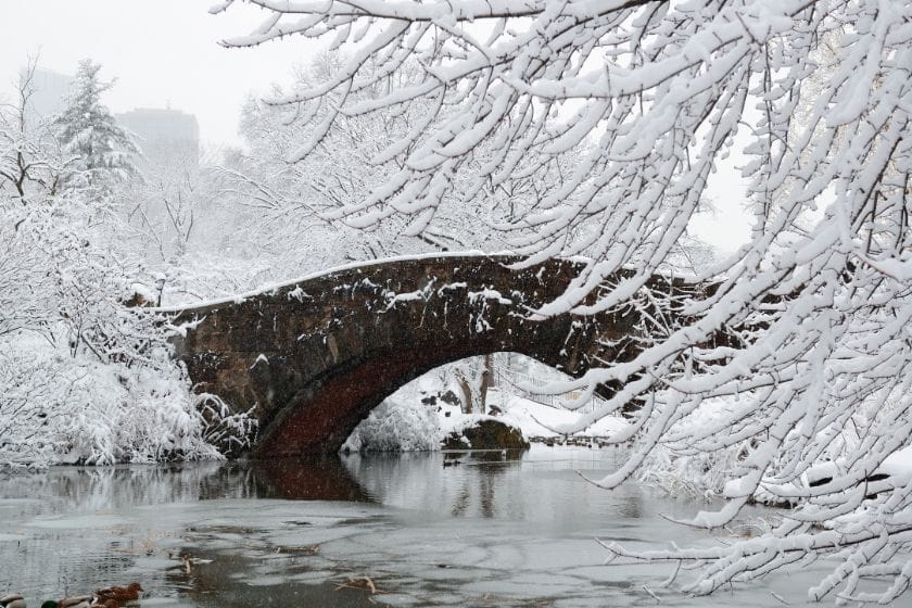 Walking in Central Park in winter. The bridge is all snowy