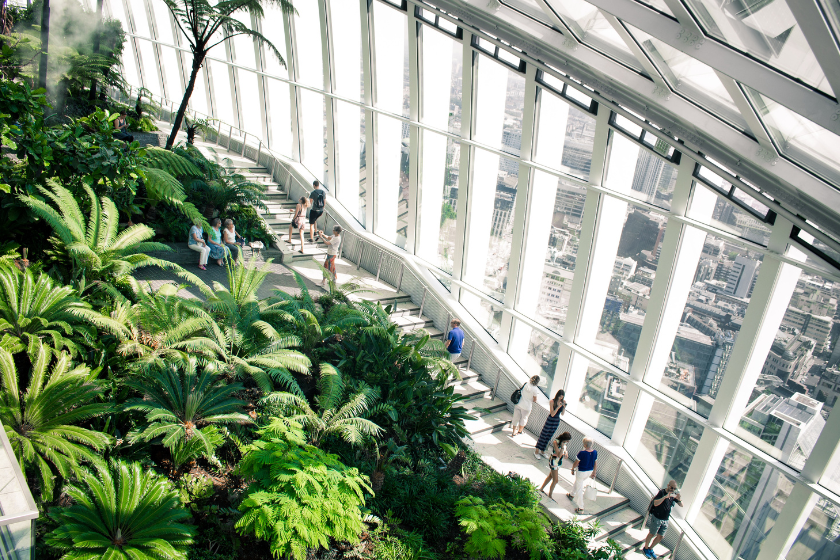 Tropical plants and stairs with large windows in London's Sky Garden - things to do in London on a rainy day