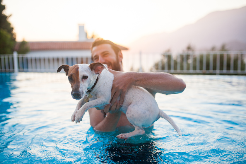 pet-friendly vacation rentals with private pool