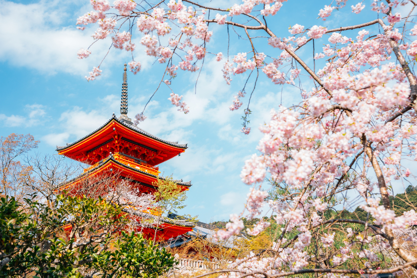 best places to visit april kyoto