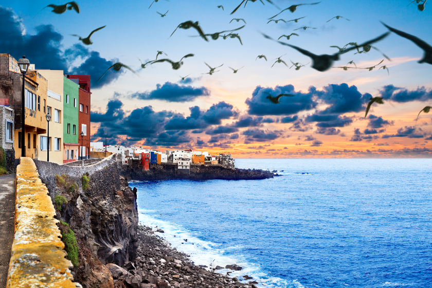 best places to visit december canary islands