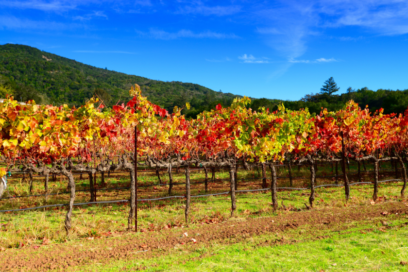 best places to visit october napa