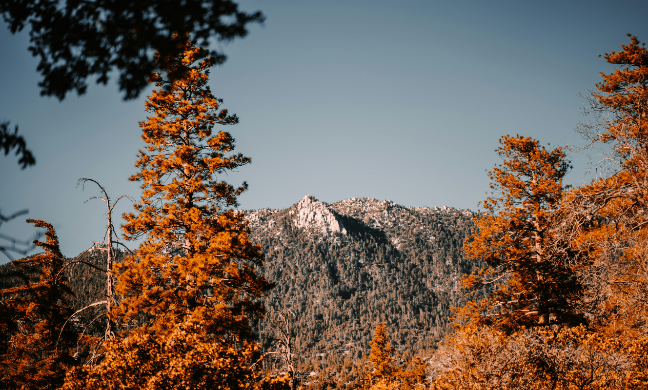 cheapest places to visit US idyllwild
