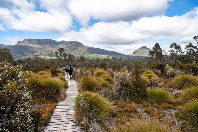 Tasmania-lugares-fuera-de-lo-comun-3906035_640