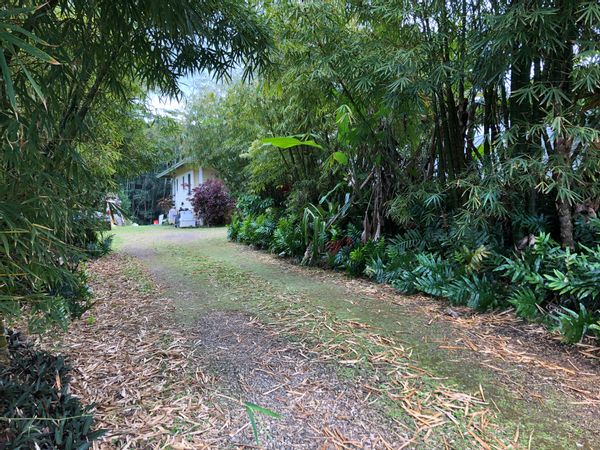 Farrah or Brandons hus