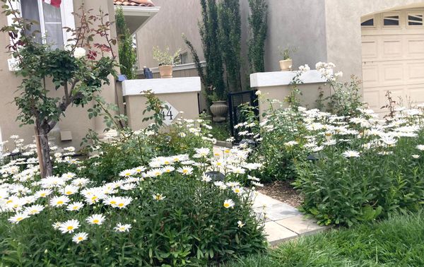 Attractive, peaceful home in the heart of Coastal Southern California