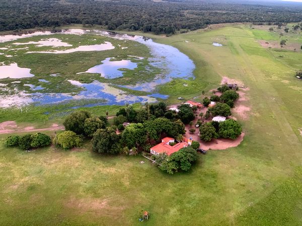 Fazenda Rancharia, pantanal da Nhecolandia, MS