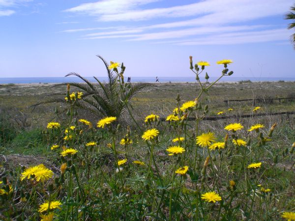 Beach & Culture: Apartment in South Sardinia