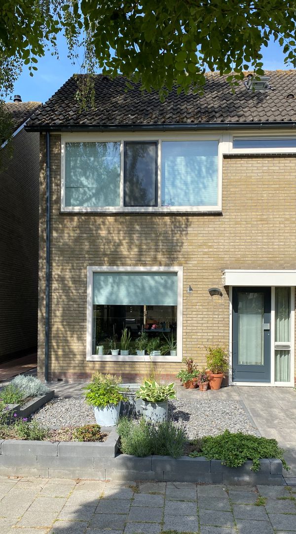 Nice & comfortable family house