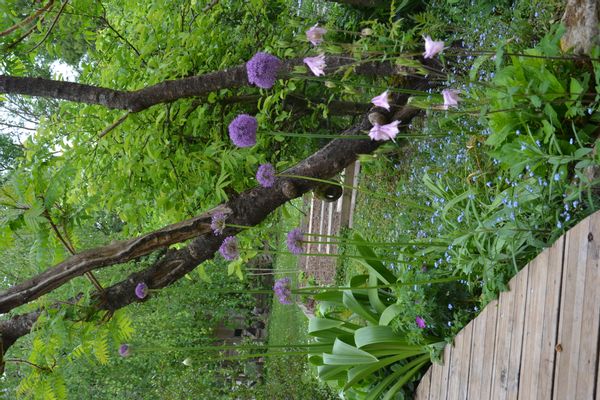 sabine et damiens hus