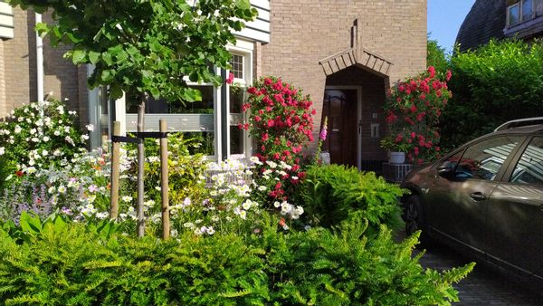 Dalien's home close to nature