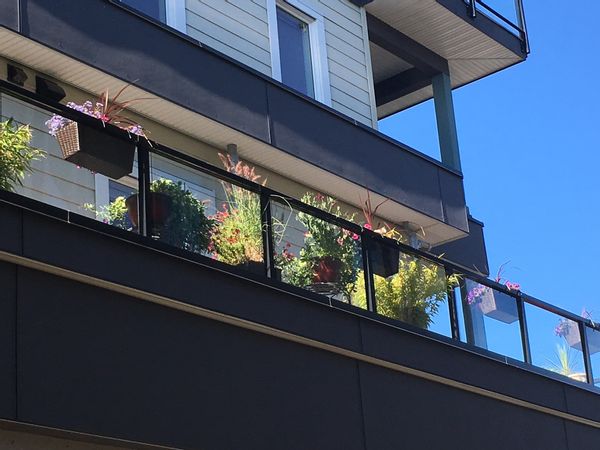 Casa de connie and david