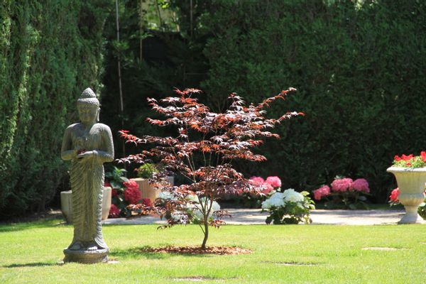 Daniel & Katarinas hus