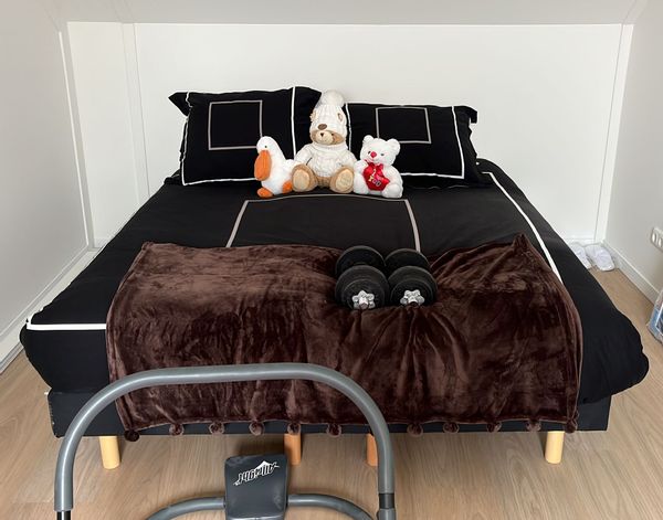 New house near Amsterdam Castle Muiderslot