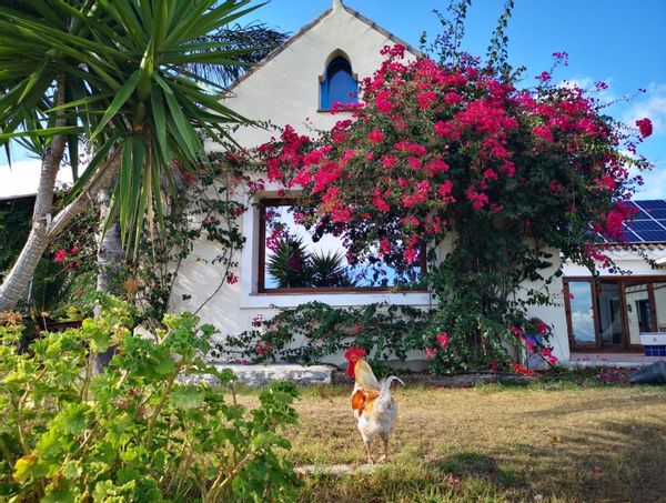 huis van Christina and Pierre