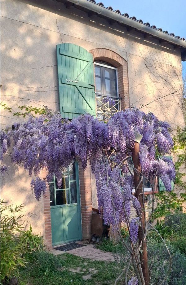 Niels & Laetitias hus