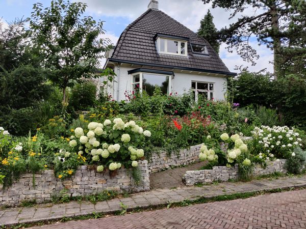 Lovely 4 bedroom detached house and garden with nature, culture and more