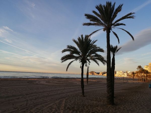 huis van Paco y Susana