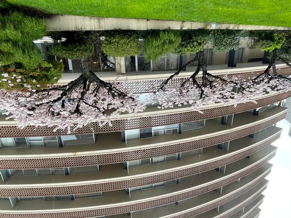 Amy and Charless hus