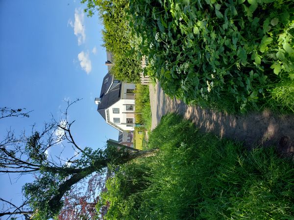 Family home in the forest