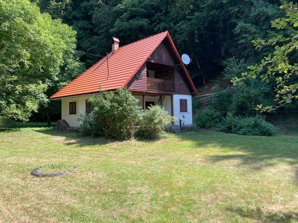 Levente's forest house. The minimum stay is one week (most of the time).