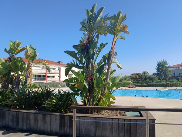 Seaside apartment near Antibes with communal pool