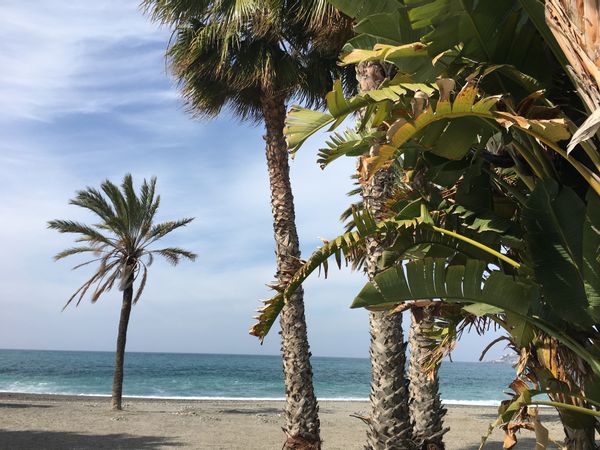 Delphine et Thierrys hus