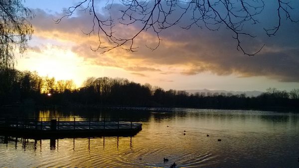 LOOKING July 2025 - Family house near beautiful park