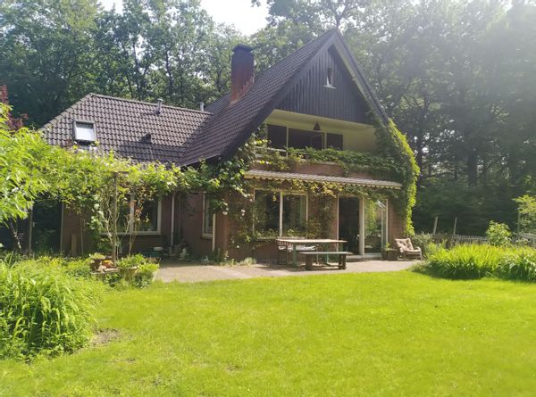 A warm, light and spacious house in the woods of Austerlitz (Utrecht)