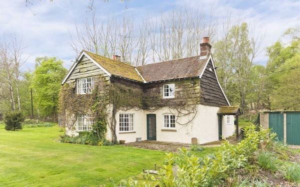 Hampshire. Woodland cottage retreat. 1hr to London