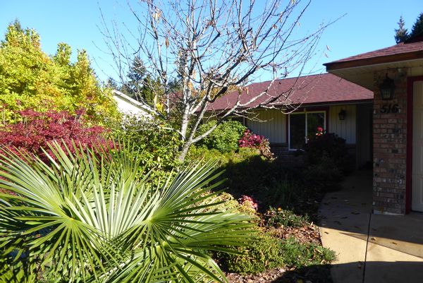 Beautiful Vancouver Island, You can have it all