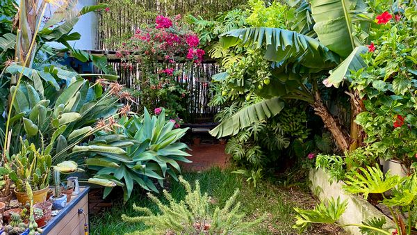 Apartment with garden in the center of Lisbon