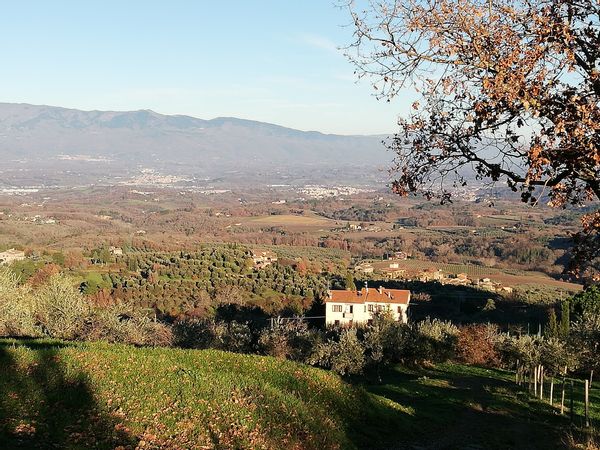 Fiammetta Chini s Haus