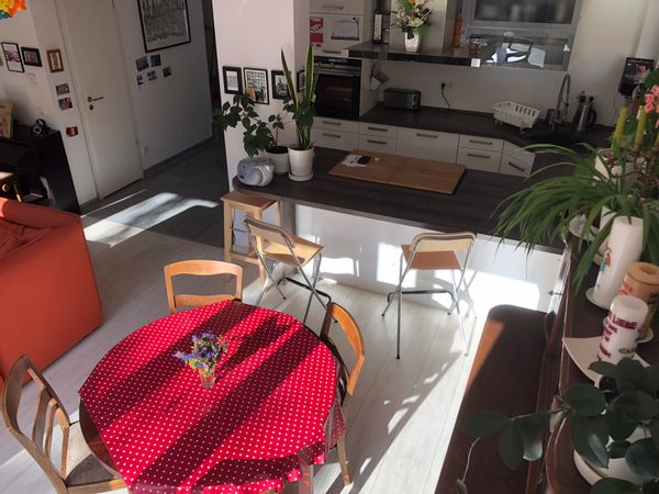 Steffen&Constanzes hus