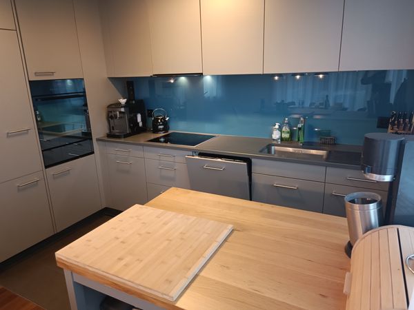 Moshe and Laurence's house