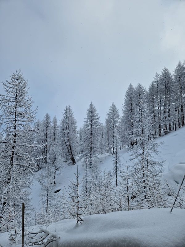 Veronica e Marcos hus