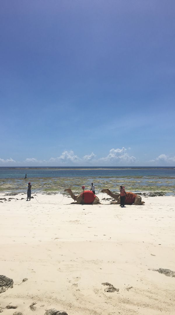 Carudi Cottage, Diani beach-Kenya. Reciprocal exchanges only.