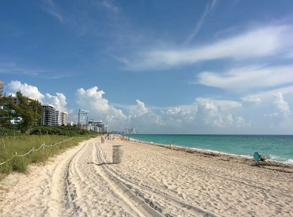 Miami Beach  ♡      2 bed/2 bath