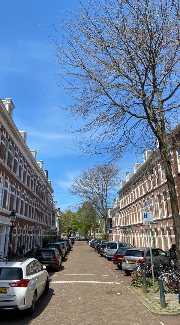 Atmospheric family home in vibrant part of the Hague near historic center and beach